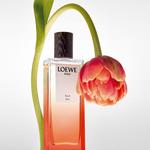 Духи Solo ella elixir Loewe, 50 мл - фото 4