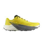 Кроссовки Salomon Pulsar, Incaberry - фото