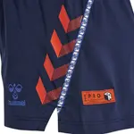Шорты Hummel Pro Grid Game shorts, синий - фото 4