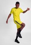 Спортивные шорты AUTHENTIC PL Hummel, цвет blazing yellow - фото 2