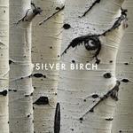 Парфюмированная вода Alfred Sung Shi - фото 3