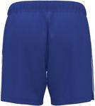 Шорты Under Armour Team Tech 5in - фото 2