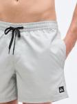QUIKSILVER Шорты для серфинга Regular 'SOLID 15' в сером цвете - фото 3