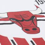 Mitchell Ness Футболка Mitchell & Ness унисекс белая - фото 8