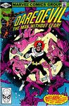 Daredevil No. 169 (Marvel Comics Group) - фото
