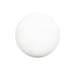 Лак для ногтей 14мл, Diego Dalla Palma - фото 2