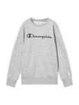 Толстовка Champion Authentic Athletic Apparel, Mottled Grey - фото
