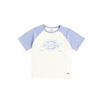 Детская футболка Dickies, зеленый/синий - фото 4