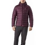 Arcteryx Свитшот с капюшоном Cerium, Quantum Yellow - фото 10