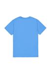 Футболка Alpha Industries Print T-shirt, Mediteranian Blue/Blue - фото 7