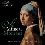 CD диск Musical Moment / Various: Musical Moment / Various - фото