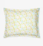 Наволочка Geometrico Sham SFERRA, Aqua - фото