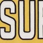 Поло Supreme Twill Appliqué Polo, Yellow - фото 2