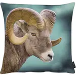 Наволочка 5881 Apelt, Braun, petrol - фото