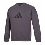 Adidas Свитшот мужской серо-фиолетовый - фото