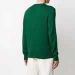 Свитер с вышитым логотипом Polo Ralph Lauren, зеленый - фото 5