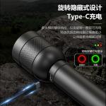 Фонарь для кемпинга Outdoor Lightings PHILIPS - фото 8