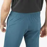 Мужские шорты-бермуды Salomon Wayfarer Ease, синий - фото 3