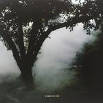 Виниловая пластинка LP At Home With Owen - Owen - фото