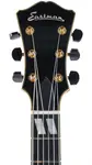 Eastman AR580CE HB - фото 2