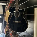 Eastman ИСТМАН PCH2 GACE BK - фото