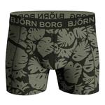 Боксеры BJÖRN BORG, хаки/черный - фото 3