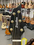 Breedlove SLCN44CERCAM Organic Solo Pro Edge Burst - фото 6