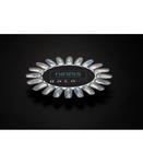 Пыль для ногтей, 0,4 г Neess, Holo Effect - фото