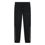 Брюки logo outdoor casual pants 'black' Mizuno, черный - фото