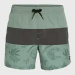 Шорты для плавания O´neill Mix&Match Cali Block 15´´, зеленый - фото 3