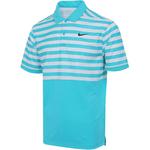 Мужская поло для гольфа Victory+ Dri FIT Nike, синий - фото