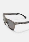 Солнцезащитные очки Oakley FROG RANGE UNISEX, Titanium-Coloured/Multi-Coloured - фото 3