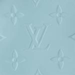 LOUIS VUITTON Сумка Риди Пм Тот Скай - фото 6