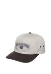 Бейсболка Billabong THROWBACK STRAPBACK, Sil/Grey - фото