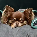 Одеяло DS Produkte, серый - фото 26