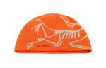 Шапка мужская Arcteryx, оранжевый - фото 3