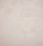 Наволочка Adrina Sham SFERRA, Cameo - фото 6