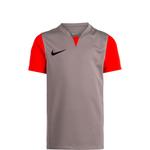 Футболка Performance NIKE Trophy V, серый - фото