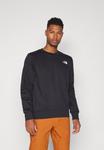 Толстовка The North Face SIMPLE DOME CREW, Black - фото