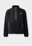 Джемпер The North Face FLEESKI ZIP, Black - фото 5