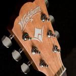 Акустическая гитара Washburn D7S | Harvest Series Solid Spruce Top Dreadnought. New with Full Warranty! - фото 4