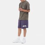 Шорты для плавания Stüssy Water Big Basic Stussy, черный - фото 3