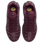 Кроссовки Air Max Plus Running Unisex Low-top Brown/Silver Nike - фото 4