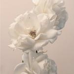 CD диск Imminence: Turn The Light On: Acoustic Reimagination V2 - фото