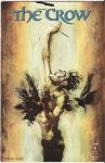 THE CROW #6, July 1999 (Image Comics) - фото