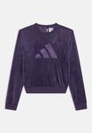 Толстовка Adidas Performance JUNIOR UNISEX, Aurora Plum/Dark Blue - фото
