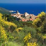 Аква Эльба Духи, Acqua Dell'Elba - фото 3