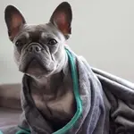 Одеяло DS Produkte, серый - фото 33