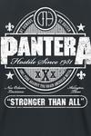 Футболка Stronger Than All от Pantera - фото 3