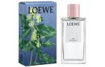 Унисекс парфюмы LOEWE, Honeysuckle - фото 4
